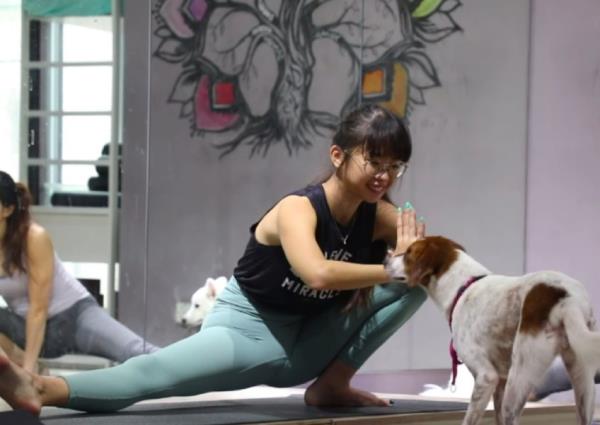 这位23岁的动物爱好者开了一家瑜伽馆，这样人们就可以和狗狗一起上瑜伽课了
